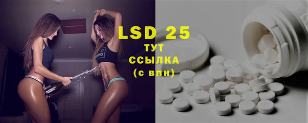 ПСИЛОЦИБИНОВЫЕ ГРИБЫ Горняк