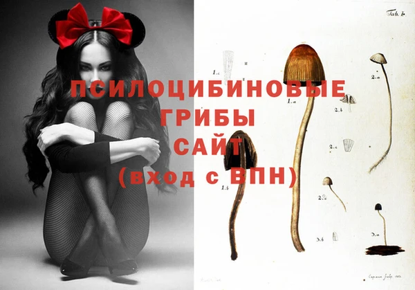 таблы Абаза