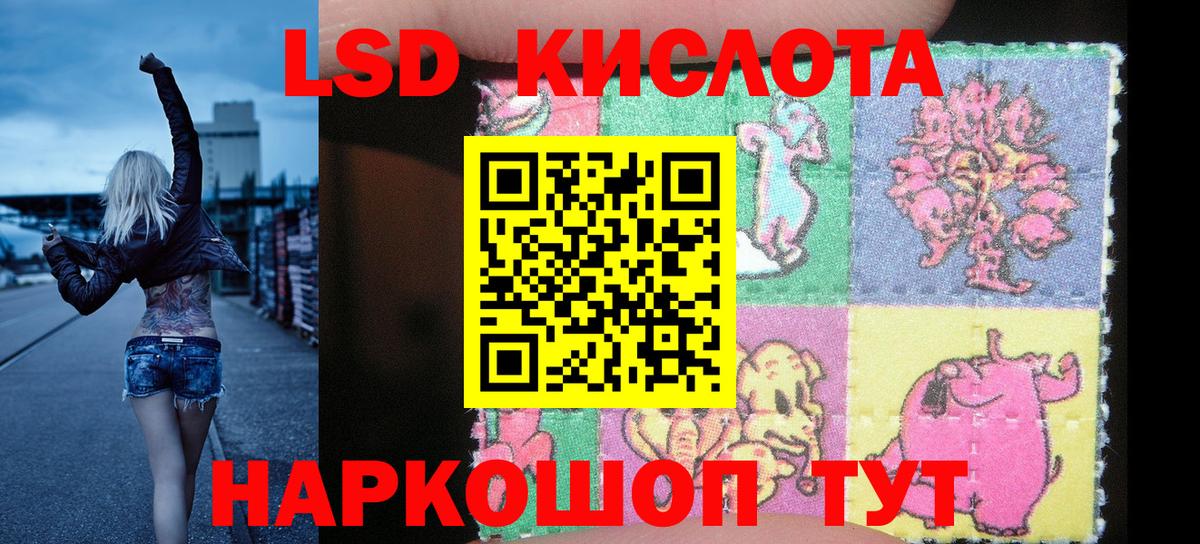 Марки NBOMe  Наркотические марки 1500мкг  Бийск  Вход с VPN  Наркотические марки 1500мкг 